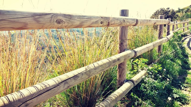 Rustic Wooden Fence